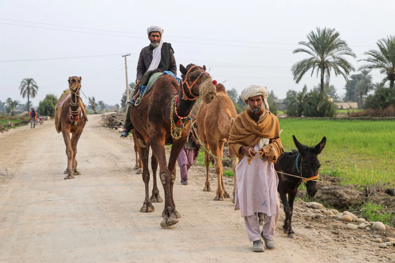 Unlocking Pakistan’s Potential: Discover How Chinese Firms Are Revolutionizing Funding with Panda Bonds!